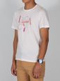 T-SHIRT-C-ESTAMPA